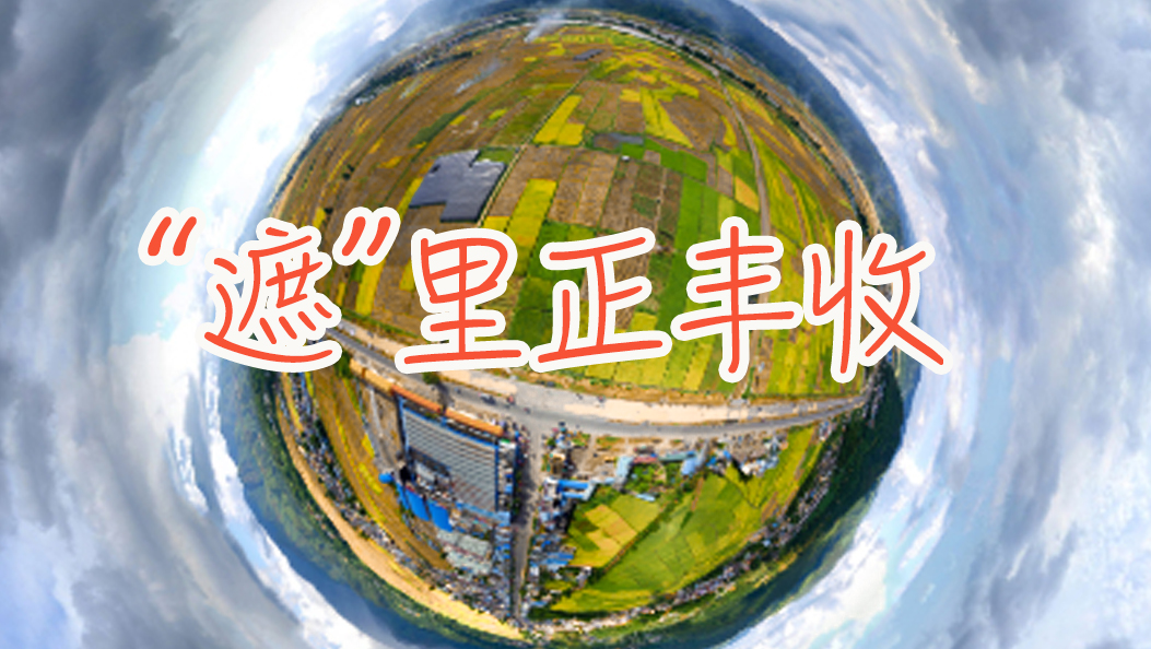 VR｜“遮”里正丰收