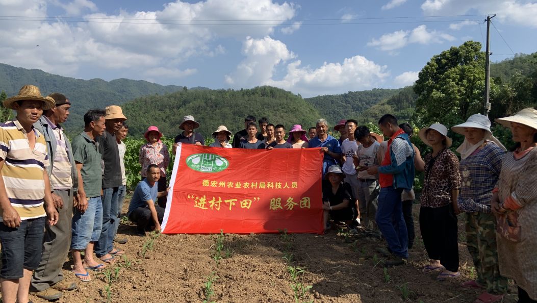 云南德宏：办好民生实事 扎实推进主题教育见行见效