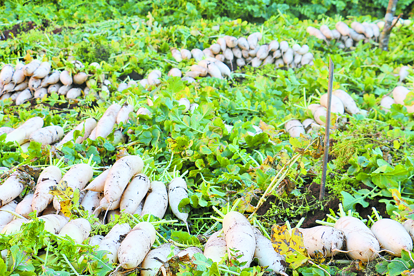 1700212216868979.jpg downLoad-20231117170939.jpg