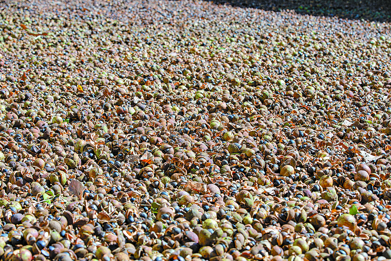 1704272402373815.jpg downLoad-20240103165746.jpg