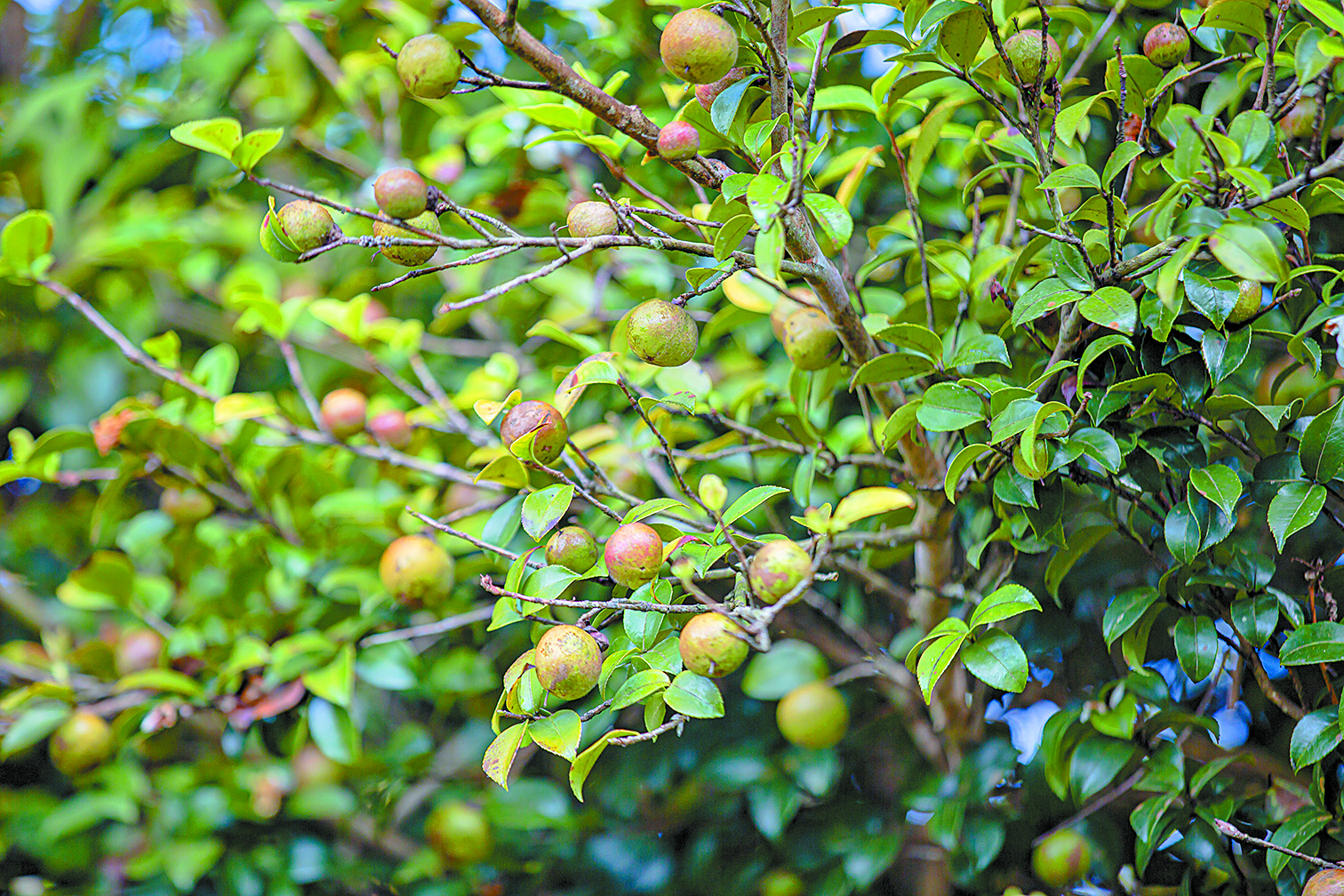 1704272425311675.jpg downLoad-20240103165823.jpg