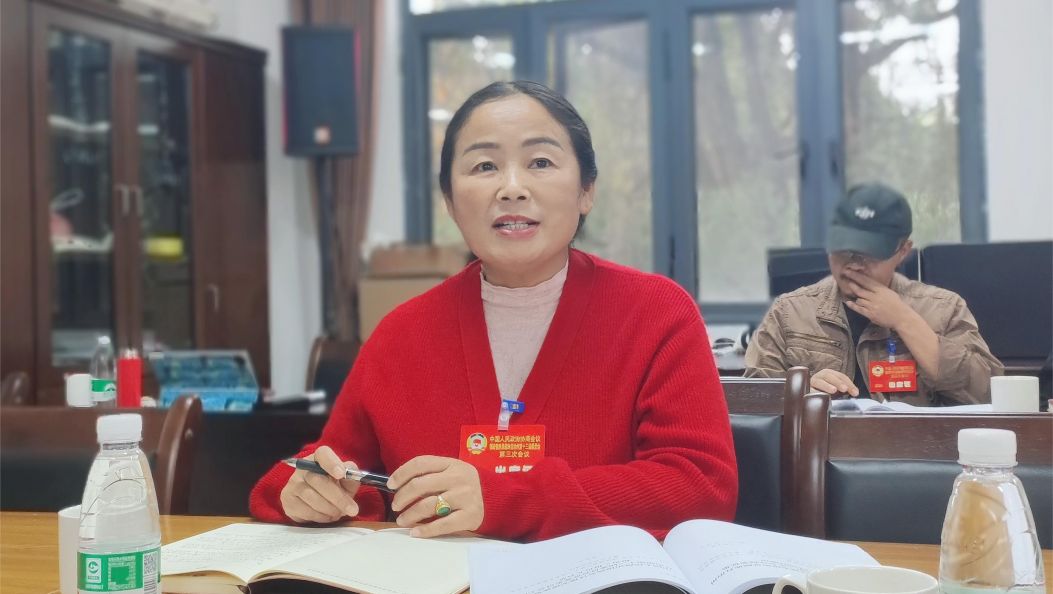 张红俊委员建议：加强对德宏土司拥护解放誓词和景颇族山官民族团结大会誓词的宣传解读