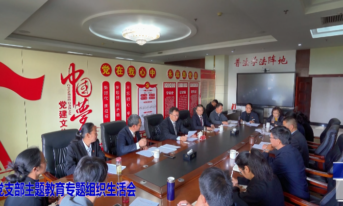傣语：姜山列席指导瑞丽试验区工管委综合办党支部主题教育专题组织生活会