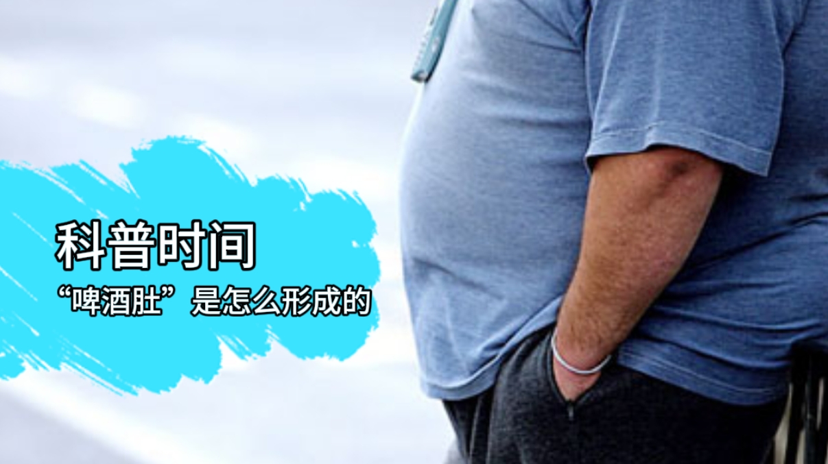 【傣语】科普知识 —— 你知道“啤酒肚”是怎么形成的吗?
