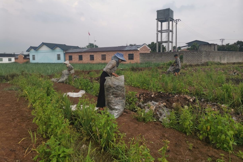 陇川：迅速抓整改 群众反映问题当天见行动 