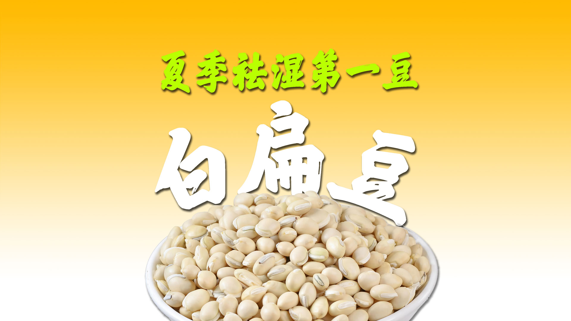 夏季祛湿第一豆——白扁豆 Zanyam mi Be byendu ga nuq zo ri gungdu mi gewang zhaq bo le