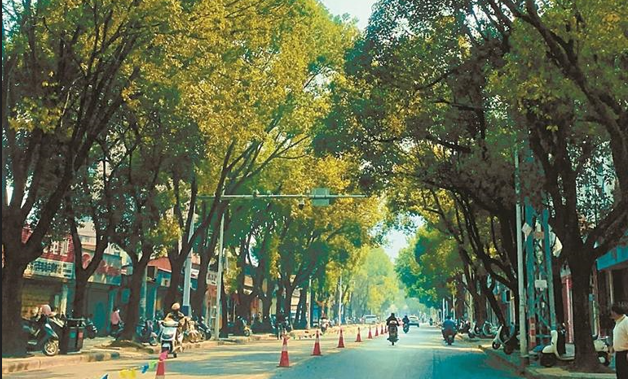 芒市绿了！美了！