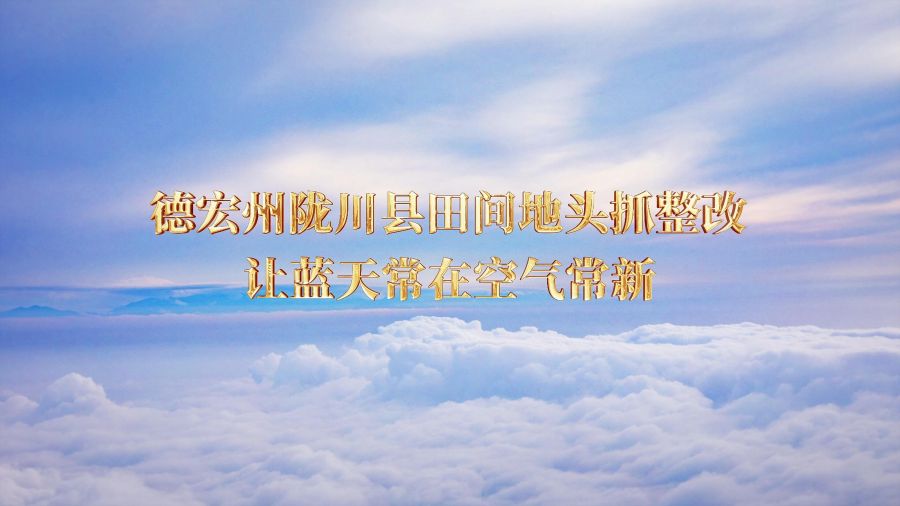 德宏州陇川县田间地头抓整改让蓝天常在空气常新