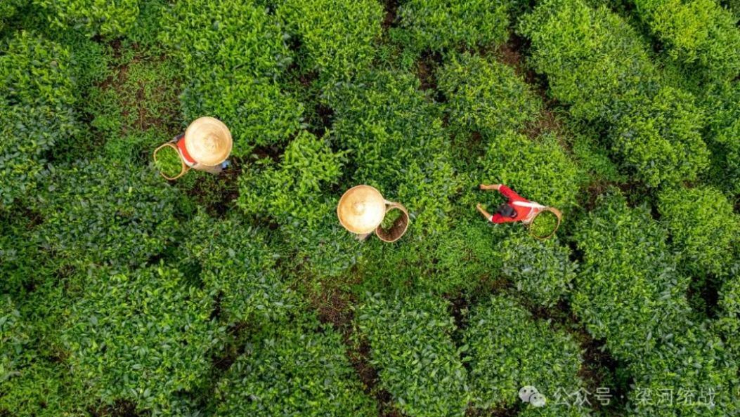 【民族团结】赛事引领，文化传承，共绘大厂民族团结新篇章