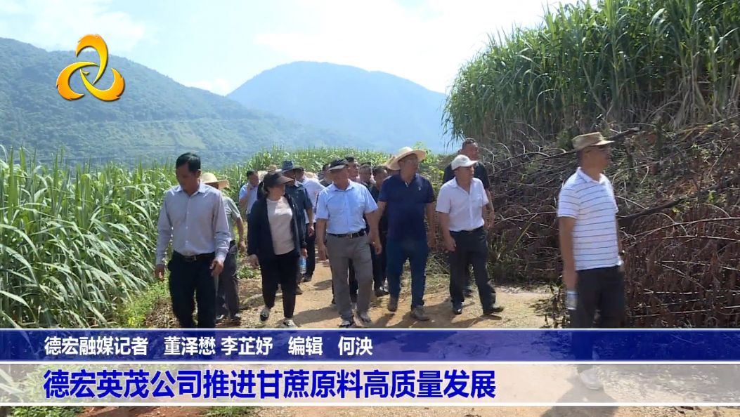 德宏英茂公司​推进甘蔗原料高质量发展