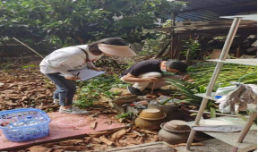 如何预防登革热