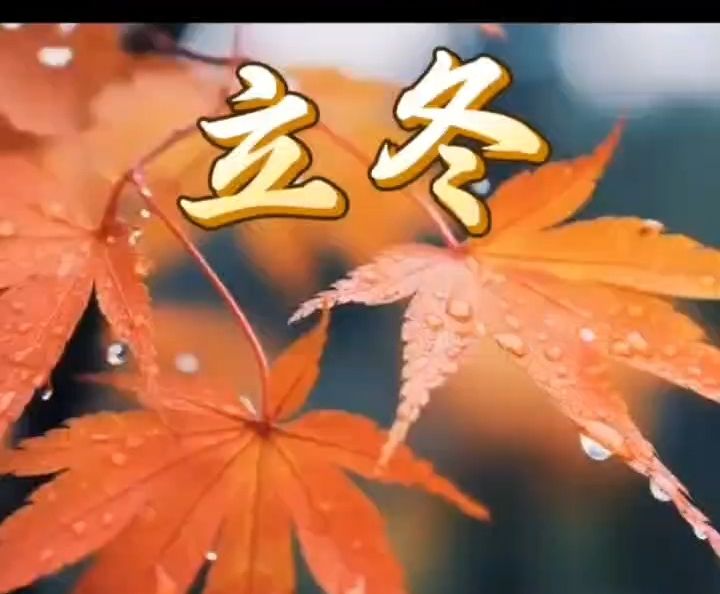 立冬 (li-su)