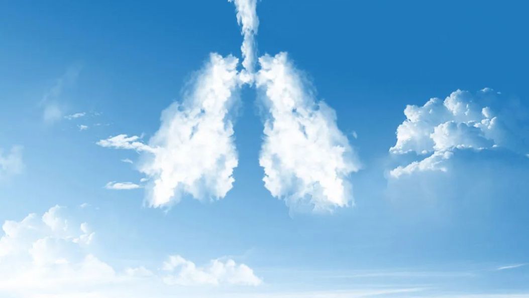 世界慢阻肺日 | 知道你的肺功能