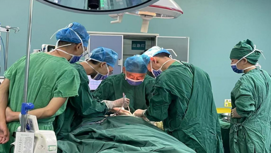 胡竹林教授团队专家工作站成效显著