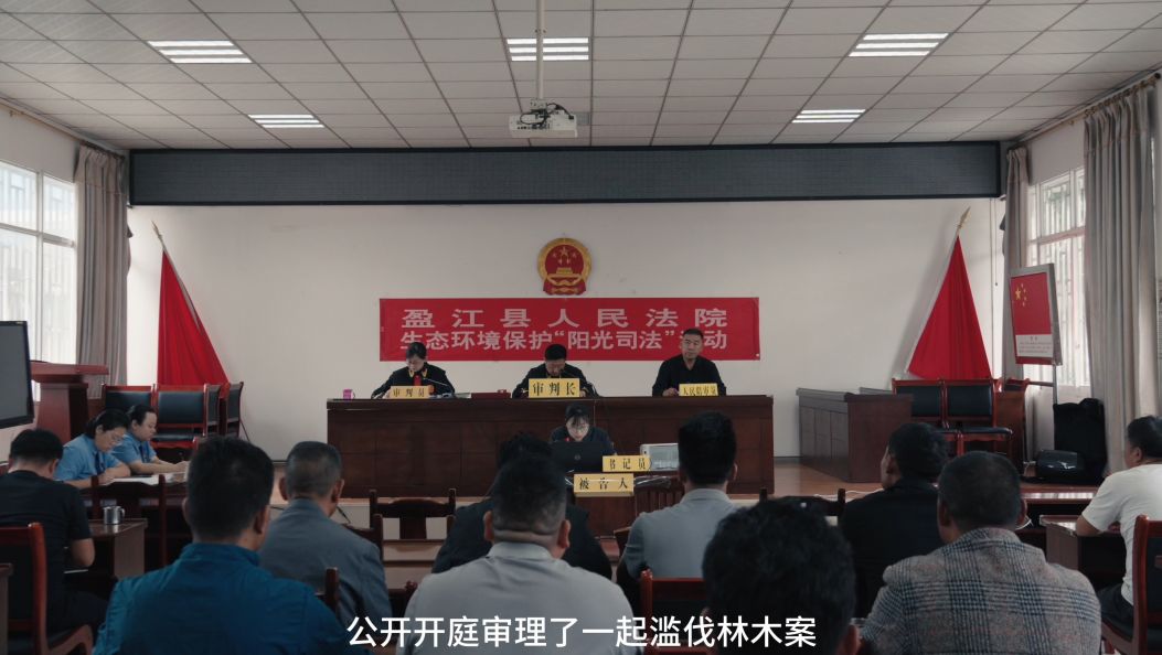 以案释法：滥伐林木