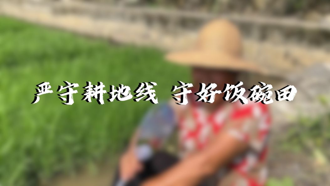 严守耕地线，守好饭碗田