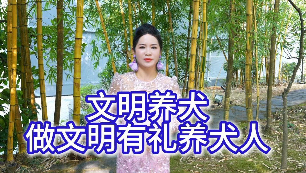 文明养犬 做文明有礼养犬人#《德宏傣族景颇族自治州养犬管理条例》