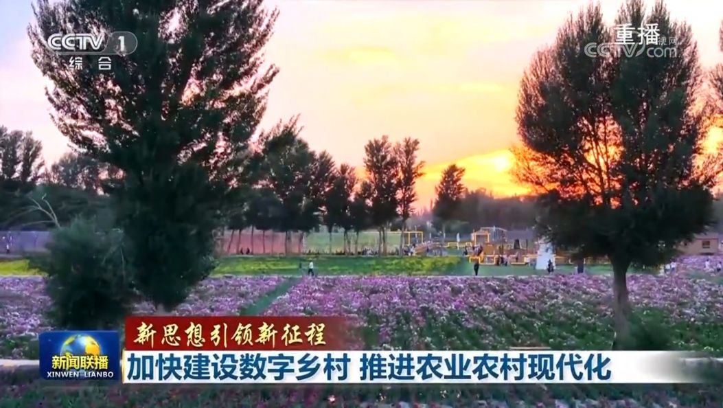 【新思想引领新征程】加快建设数字乡村 推进农业农村现代化