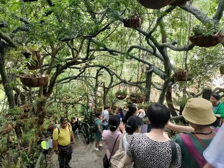 云南：乡村旅居带热一方乡土