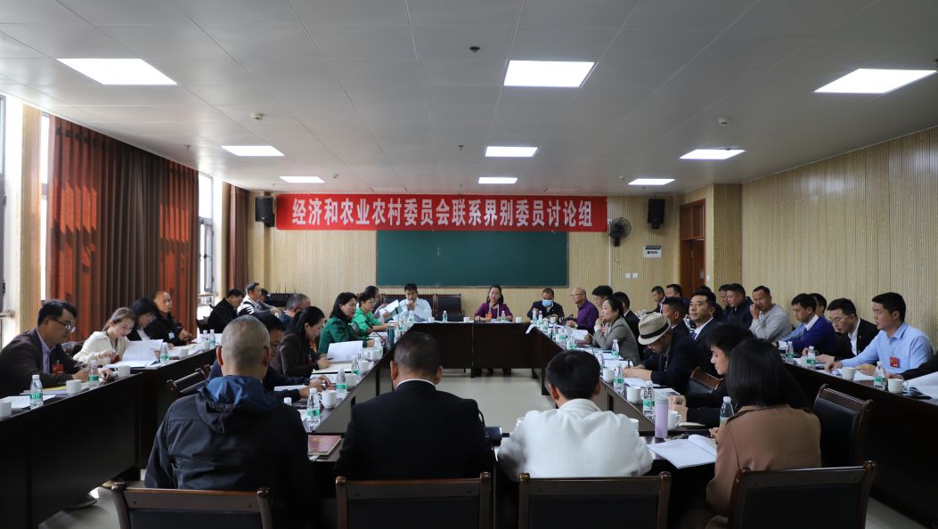 出席州政协十三届四次会议的委员参加分组审议