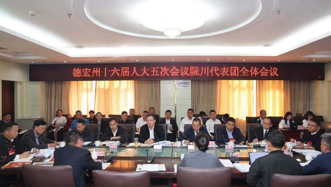 姜山参加陇川代表团审议时强调：强信心 找差距 补短板 在推进德宏高质量发展进程中作出陇川担当