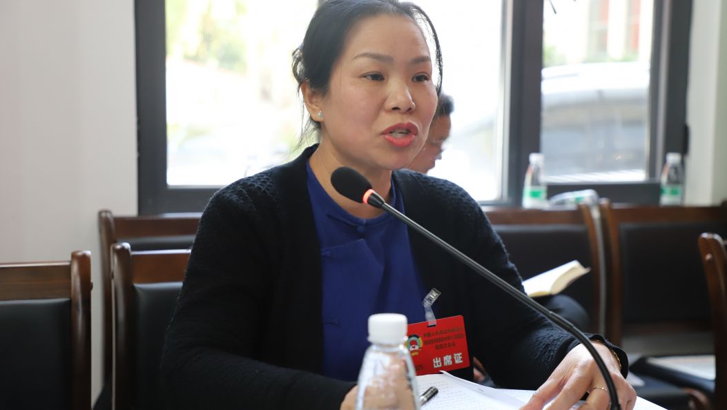 聚焦州两会 | 张帕旺委员：构建“多元化、专业化、数字化”人力资源服务集群