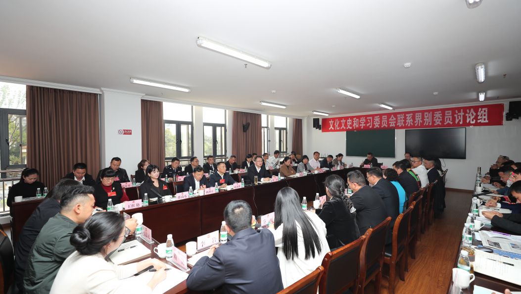 ​姜山参加州政协十三届四次会议分组讨论时强调：深入学习贯彻习近平文化思想 全力推动文化文史事业高质量发展
