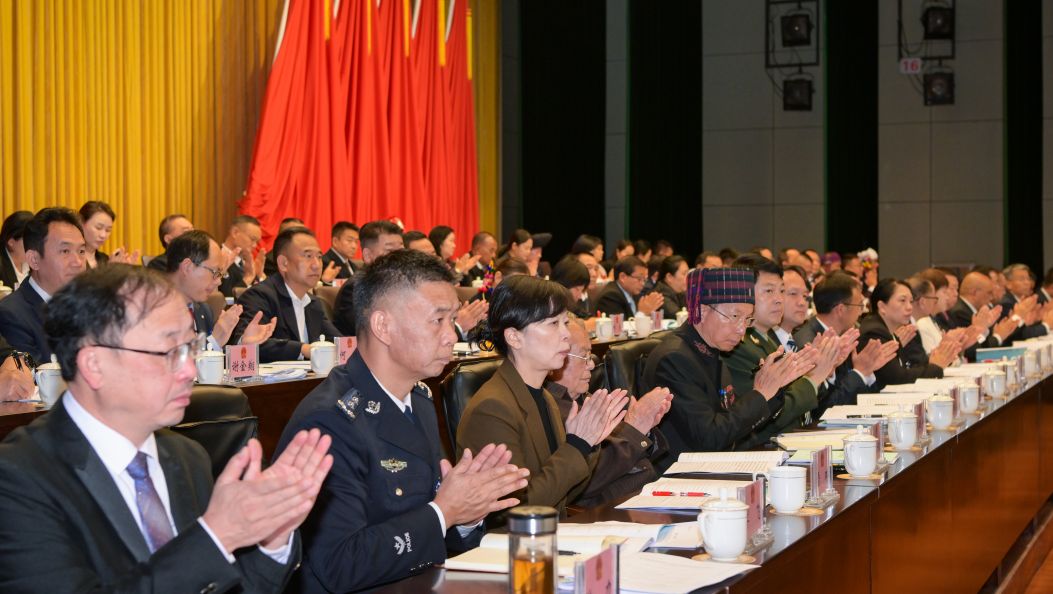 聚焦州两会 | 一场春天的盛会——2025年德宏州两会剪影