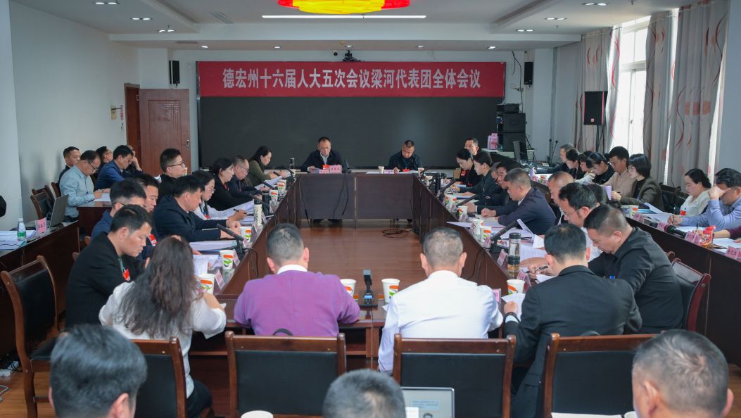 人大代表审议州人大常委会 和“两院”工作报告