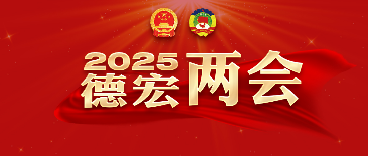 一图看懂丨德宏州人大常委会工作报告