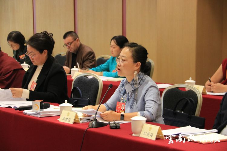 聚焦全国两会 | 坚定信心共商国是  汇聚力量再谱新篇 ——住滇全国政协委员审议“两个报告”综述