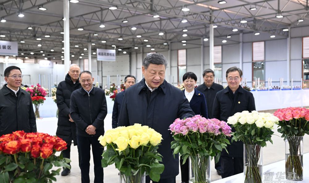 习近平在云南丽江市考察调研
