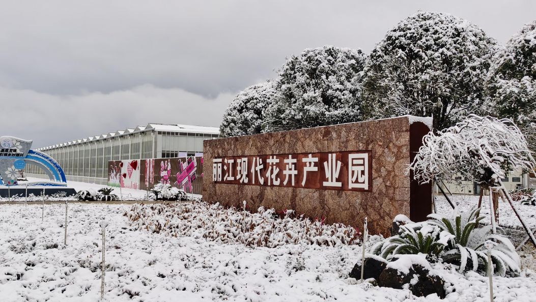 时政新闻眼丨习近平赴云南丽江考察，关注这座名城的“古与今”