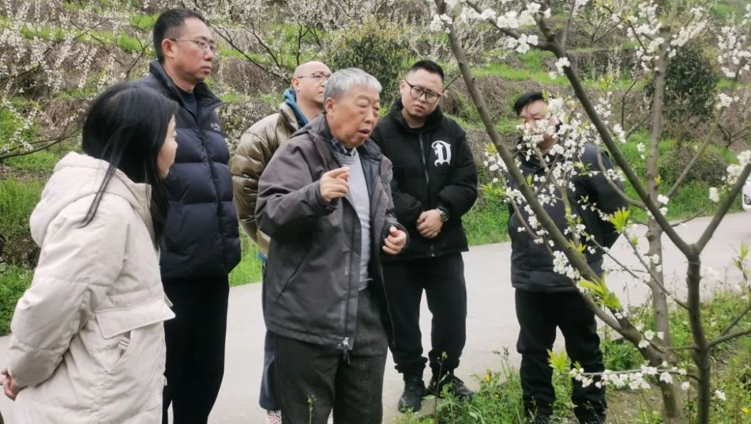 华中农业大学专家为水富水果产业“把脉开方”