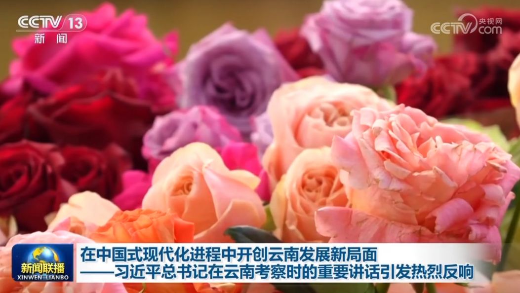 在中国式现代化进程中开创云南发展新局面——习近平总书记在云南考察时的重要讲话引发热烈反响