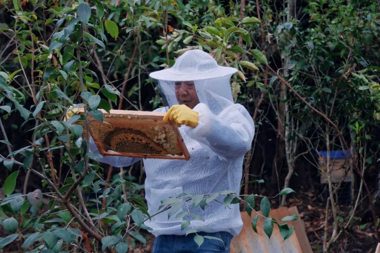 【科普知识】每天一杯蜂蜜水，身体会有什么变化？能养颜、通便？千万别乱喝！Lani mi Lagat jahku gom mi lu yang hkumhkrang ganing rai lai shai wa na kun?