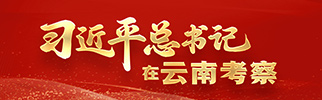 习近平总书记在云南考察