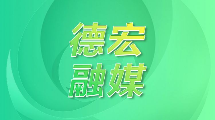 德宏州公安局学习贯彻习近平总书记考察云南重要讲话精神