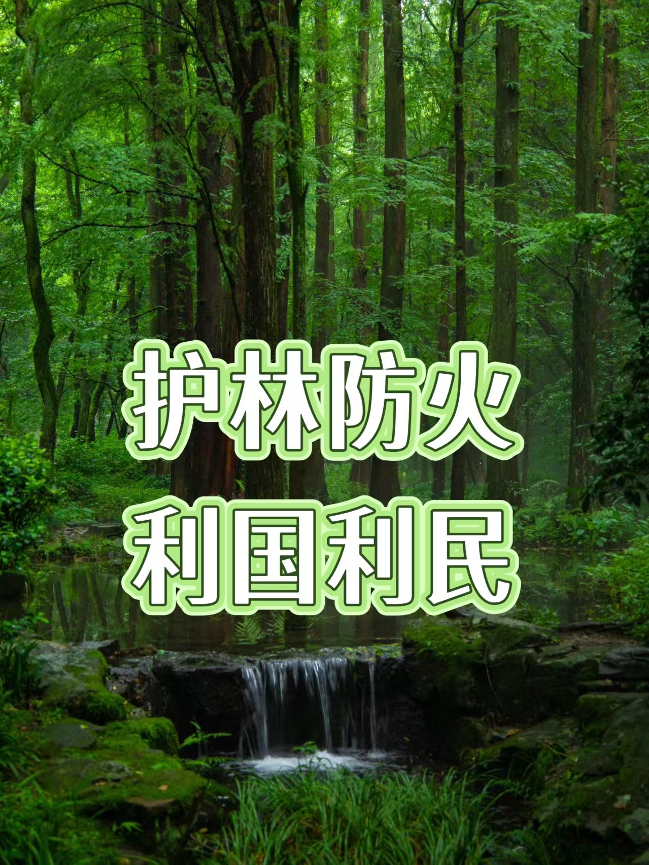 州政府领导到梁河开展巡林工作（傈僳文）