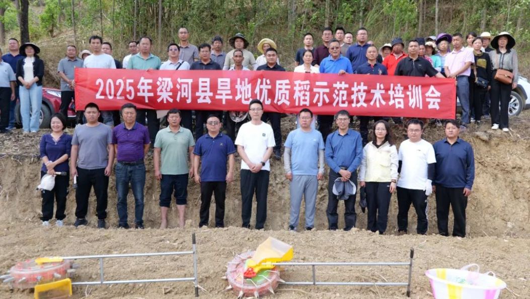 专家“进村下田”开展旱地优质稻培训
