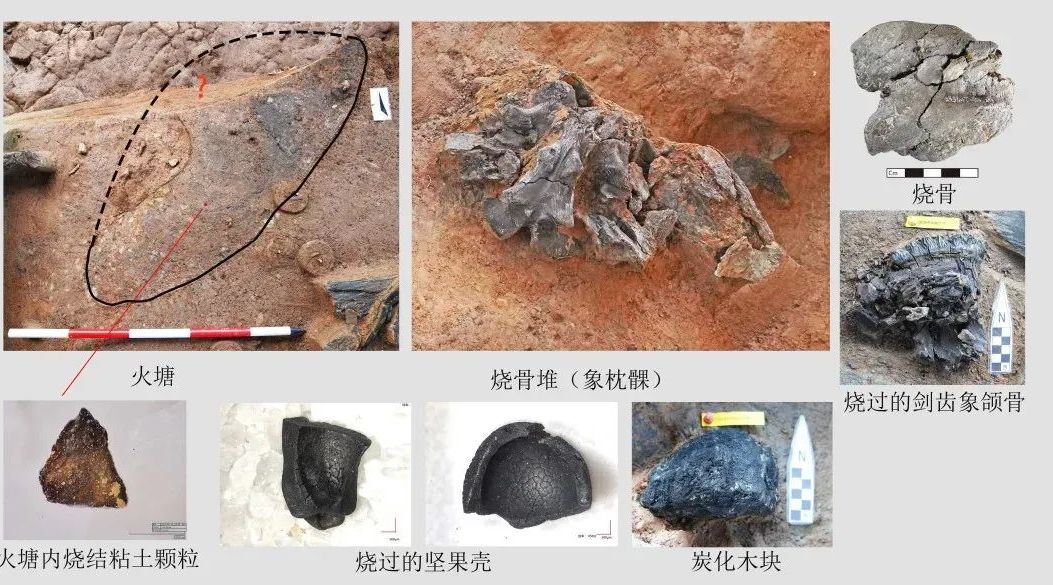 云南晋宁河泊所遗址入选！2024年度全国十大考古新发现结果公布！