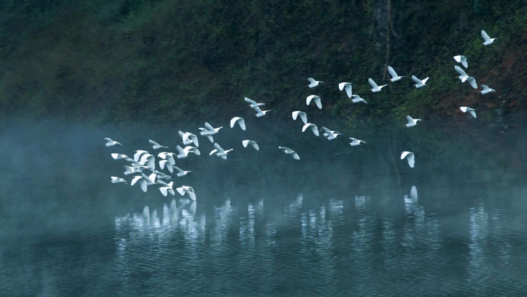 美丽河湖入画来系列报道之芒市孔雀湖：群众身边的国家级旅游度假区
