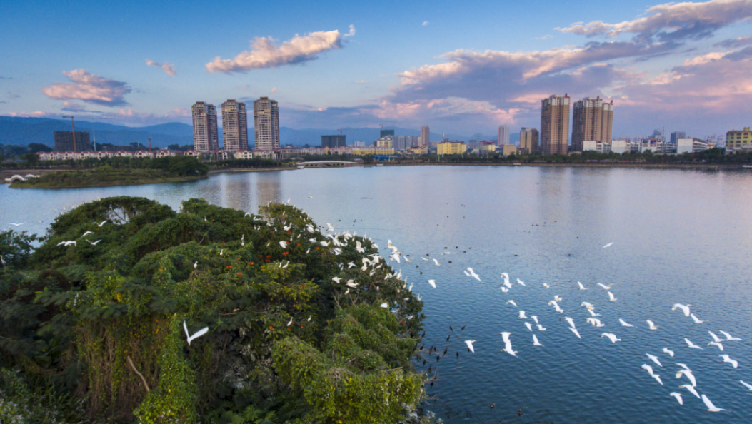 美丽河湖入画来系列报道之瑞丽市“一河两湖”：十年“臭水沟”　一朝变清流