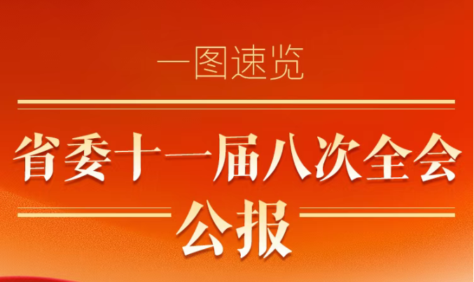 一图速览省委十一届八次全会公报