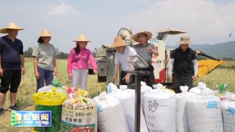 景-德宏新闻25-0515