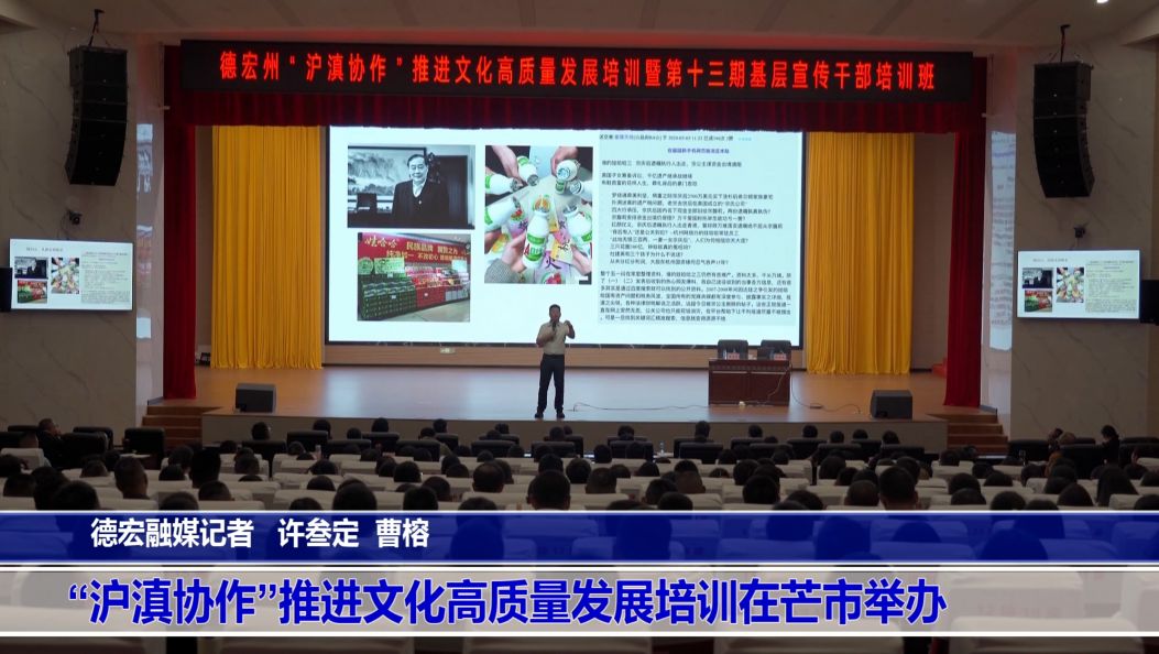 “沪滇协作”推进文化高质量发展培训在芒市举办
