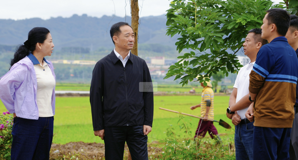 市委主要领导督导防汛减灾工作