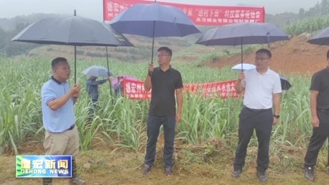 景-德宏新闻25-0603改