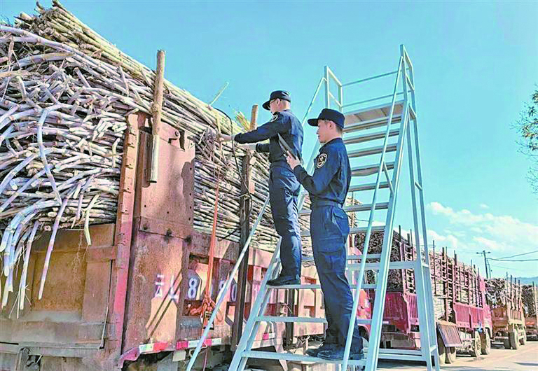 တရုတ်နိုင်ငံယူနန်ပြည်နယ် ကျန်းဖုန်းအကောက်ခွန် ပြည်ပမှ ကြံကို  ထိရောက်စွာ တင်သွင်းမှုအတွက် တွန်းအားပေး
