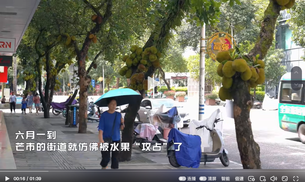 宝子们，快来与芒市街头的水果合个影！（拍摄剪辑：王世蕊 石喃喃 黄震） #有一种热爱叫在芒市 #寻美德宏 #旅居芒市 #芒市就是个好吃好在